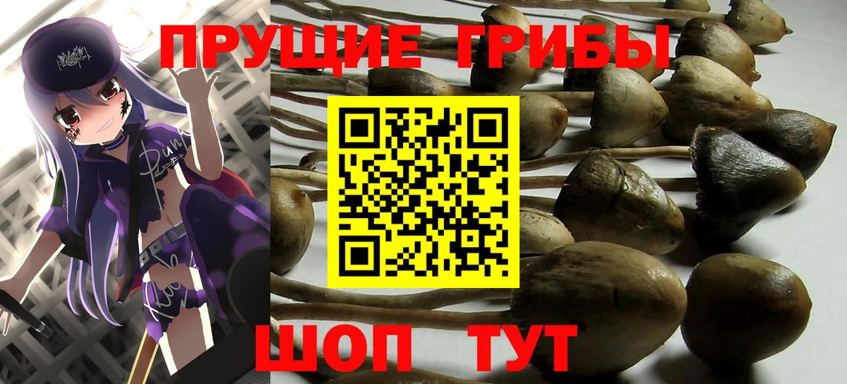 Шахты  хочу наркоту  Вход с VPN  Галлюциногенные грибы Psilocybe 